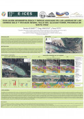 imagen EVOLUCIÓN GEOMORFOLÓGICA Y RIESGO ASOCIADO EN LAS LADERAS DE LOS CERROS SOLO Y TECHADO NEGRO, VALLE DEL GLACIAR TORRE, PROVINCIA DE SANTA CRUZ