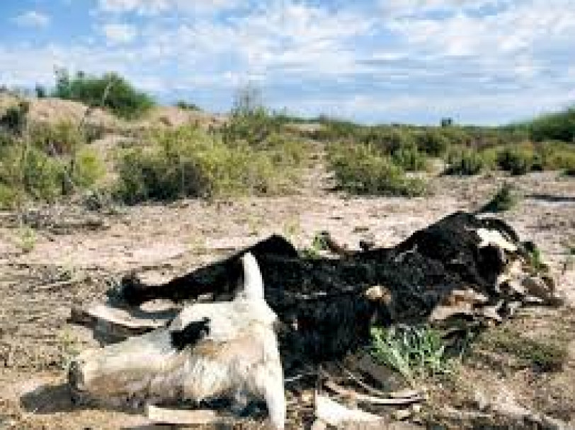 imagen Red de expertos analizarán vulnerabilidad y desigualdad social ante Cambio Climático junto al ICES 