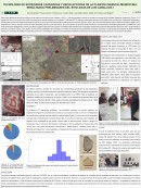 imagen TECNOLOGÍA DE SOCIEDADES CAZADORAS Y RECOLECTORAS DE LA PLANICIE ORIENTAL MENDOCINA: RESULTADOS PRELIMINARES DEL SITIO AGUA DE LOS CABALLOS-1