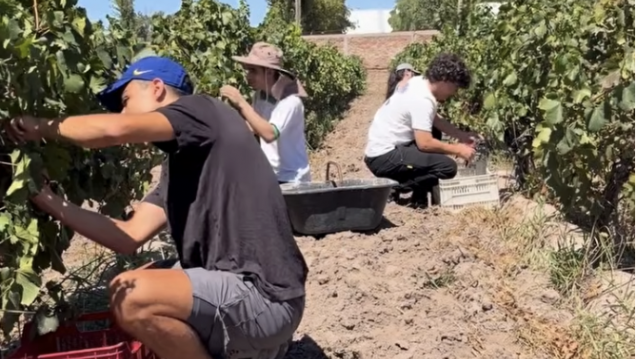 imagen Bodega Piloto para el LAE. Cosecha 2026