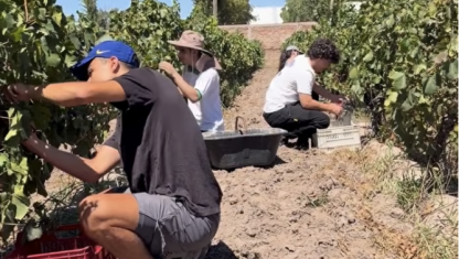 imagen Bodega Piloto del Liceo Agrícola y Enológico