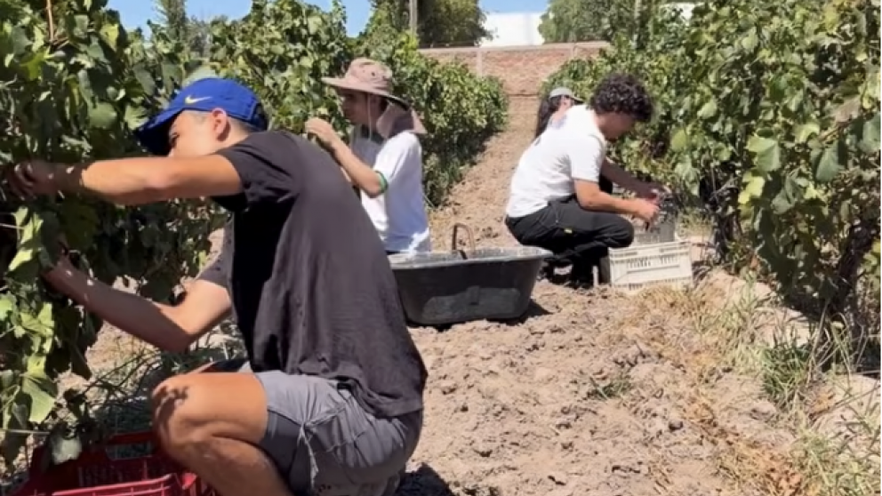 imagen Bodega Piloto del Liceo Agrícola y Enológico