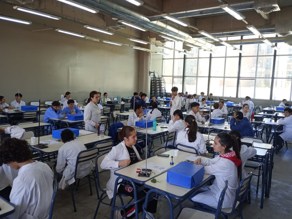 imagen ¡Felicitamos a los ganadores de la Olimpiada Argentina de Ciencias Junior 2024! 