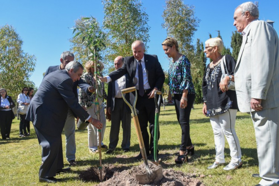 imagen En el Paseo de la Memoria se plantó un nuevo árbol para recordar al personal de apoyo académico perseguido y expulsado durante la dictadura, y que se suma a los 40 que se colocaron en memoria de los docentes y estudiantes desaparecidos.