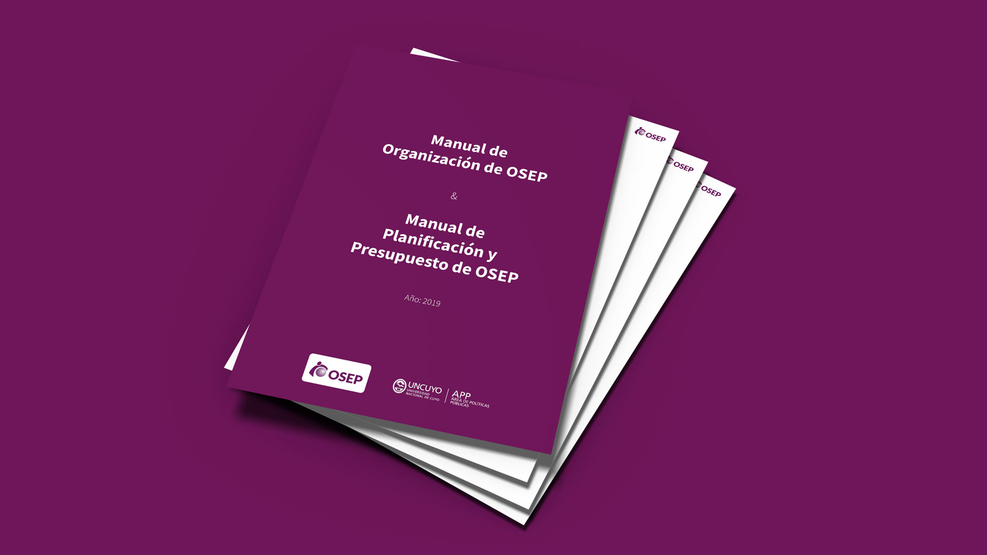 imagen Manual de Organización de OSEP