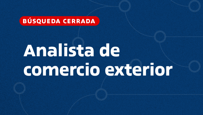imagen Analista de Comercio Exterior - Despachante de Aduana
