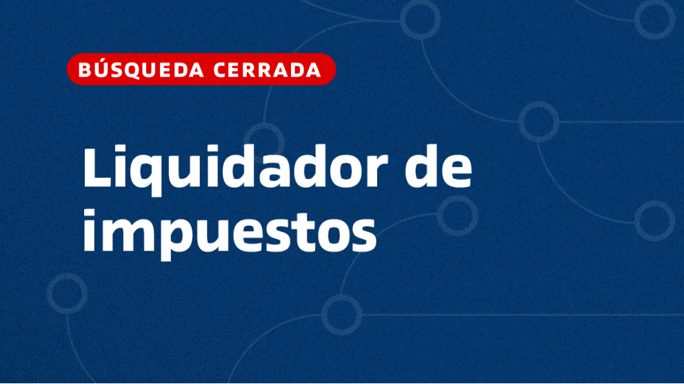 imagen Liquidador de impuestos
