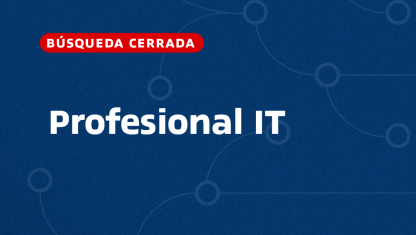 imagen Profesional IT