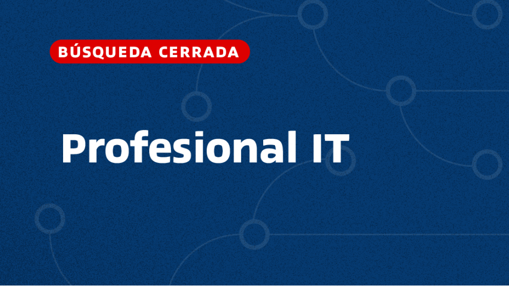 imagen Profesional IT  