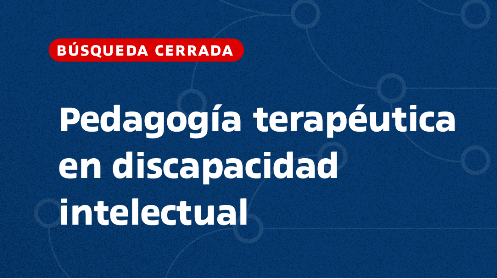imagen Profesor universitario de pedagogía Terapéutica en discapacidad Intelectual 