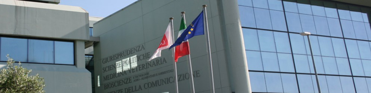 imagen CONVOCATORIA PARA ESTANCIA DOCTORAL EN ITALIA 