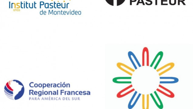 imagen Becas para cursos de Posgrado en el Institut Pasteur de Montevideo 