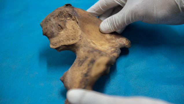 imagen Taller pondrá la lupa en los métodos para relevar y estudiar restos humanos arqueológicos