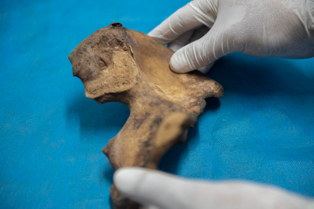 imagen Taller pone la lupa en los métodos para relevar y estudiar restos humanos arqueológicos