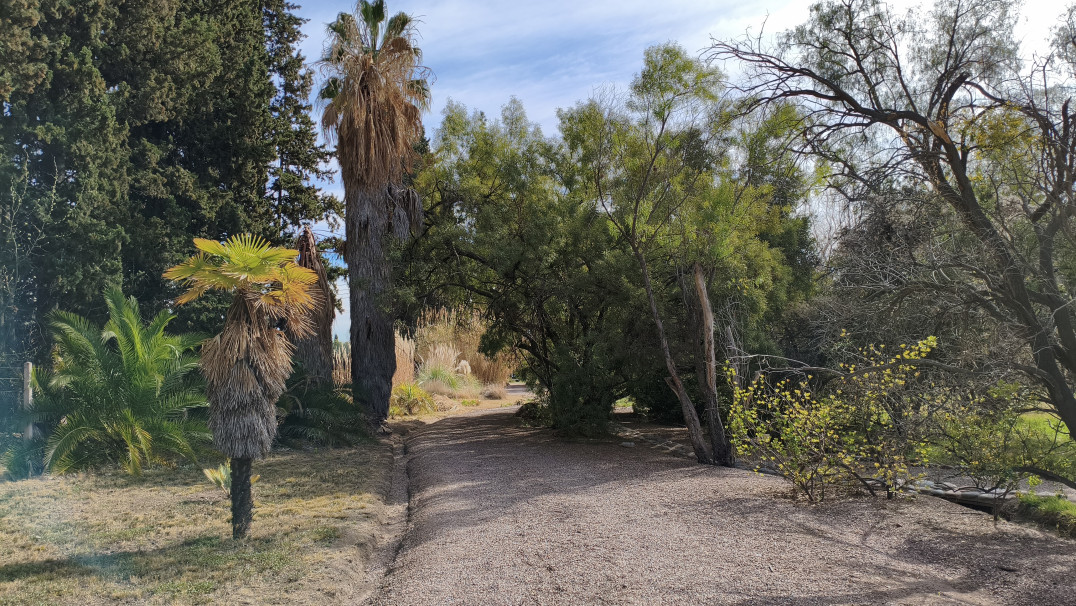 imagen El único jardín botánico de Mendoza abre sus puertas a la comunidad