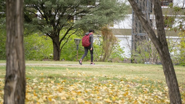 imagen La UNCUYO realizará una caminata en búsqueda del árbol perdido