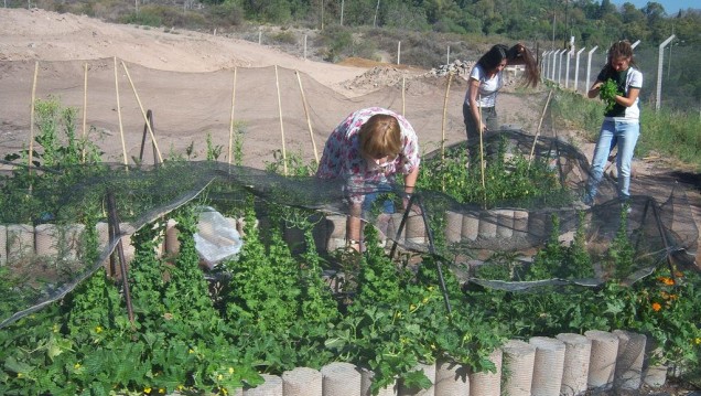 imagen Enseñan a hacer una huerta urbana agroecológica