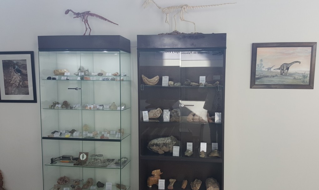 imagen Colección de esqueletos y fósiles para visitar