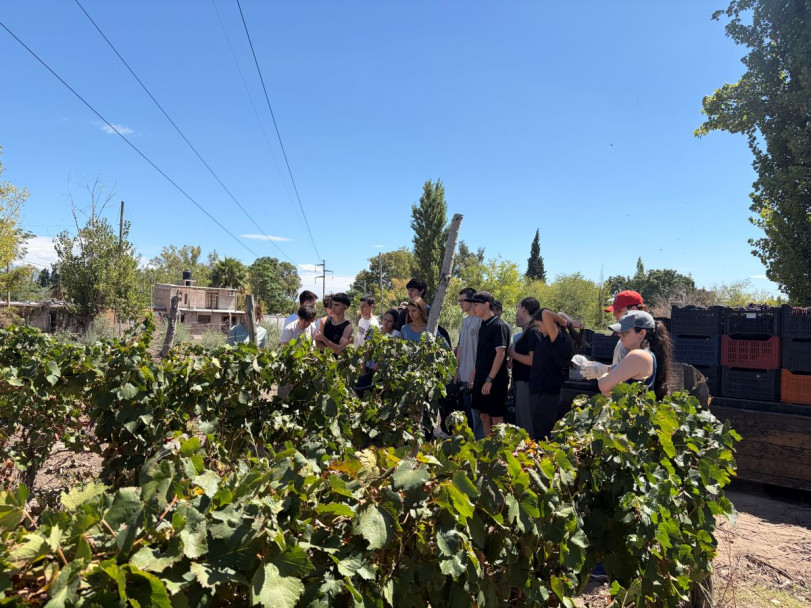 imagen La Vendimia también se vive en la UNCUYO
