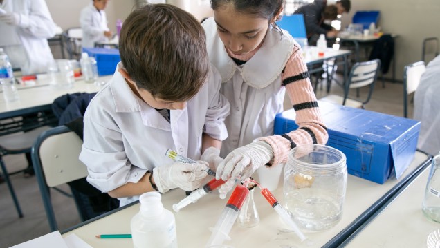 imagen La Olimpíada Argentina de Ciencias Junior se pone en acción en la UNCUYO