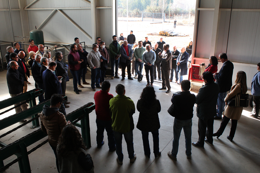 imagen Nuevo servicio: El Centro Tecnológico de la Madera suma la línea de aserrado