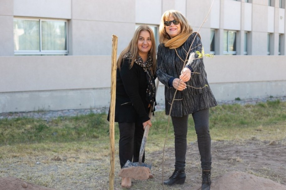 imagen Veinticinco árboles autóctonos recordarán los primeros 25 años de la Facultad de Educación