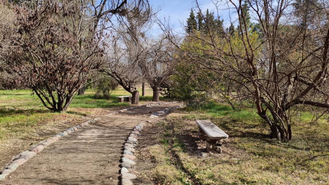 imagen El único jardín botánico de Mendoza abre sus puertas a la comunidad