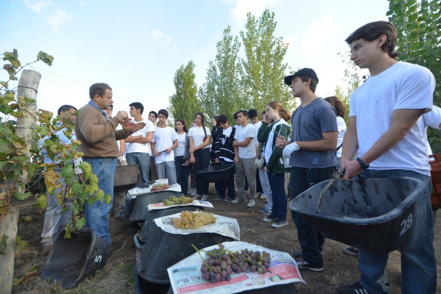 imagen Jóvenes aprenden contenidos y valores desde la cosecha