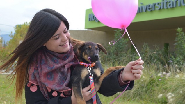 imagen La UNCuyo reafirmó su compromiso para concientizar sobre la protección animal