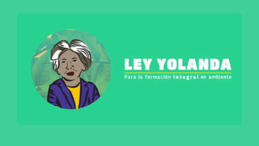 imagen Ley Yolanda: la UNCUYO será la primera universidad en capacitar a su comunidad