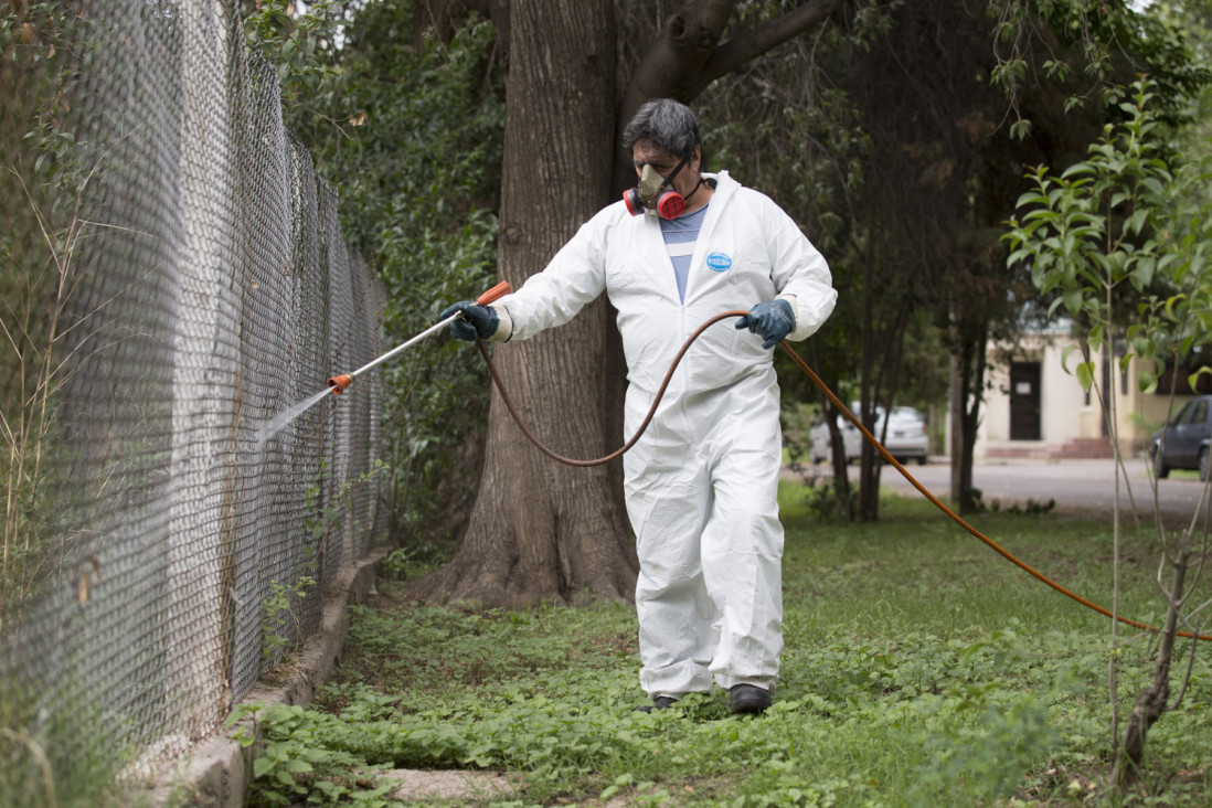 imagen Comenzó la segunda campaña "UNCUYO libre de dengue"