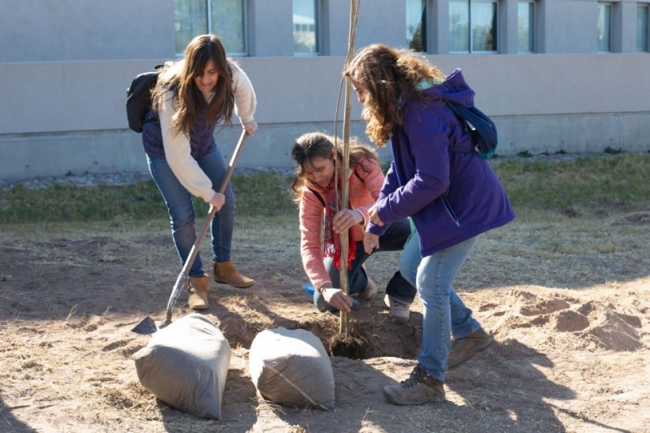 imagen Veinticinco árboles autóctonos recordarán los primeros 25 años de la Facultad de Educación