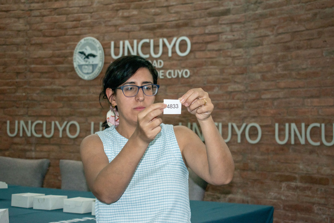 imagen Jardines maternales de la UNCUYO: sortearon las vacantes para el 2026