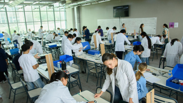 imagen La UNCUYO se prepara para una nueva edición de la Olimpiada de Ciencias Junior