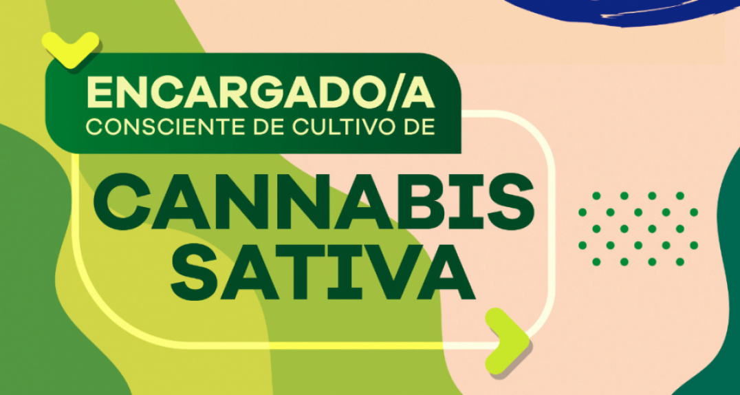 imagen Novedosa capacitación para el cultivo de cannabis