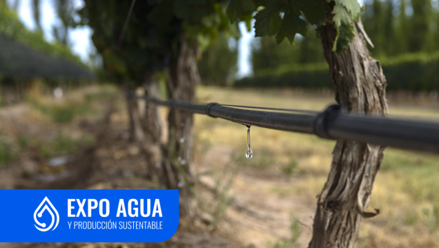imagen Expo Agua 2024: gestión del recurso hídrico y nuevas tecnologías para riego, en el centro del debate