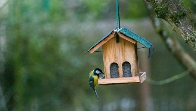 imagen Premian a estudiantes por diseñar y construir cajas nido para aves entomófagas