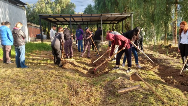 imagen El Liceo Agrícola regará sus vides y césped con aguas grises 