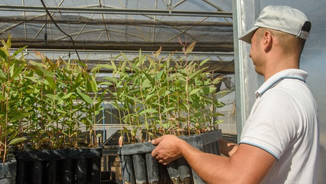 imagen Con las manos en la tierra: arrancó un taller de paisajismo y jardinería