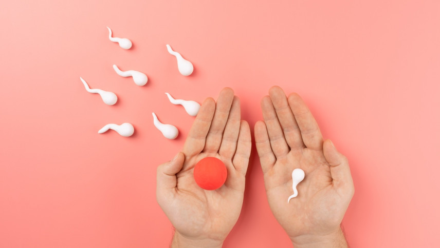 imagen que ilustra noticia Fertilidad: especialistas de la UNCUYO compartirán información clave
