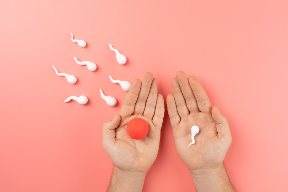 imagen Fertilidad: especialistas de la UNCUYO compartirán información clave