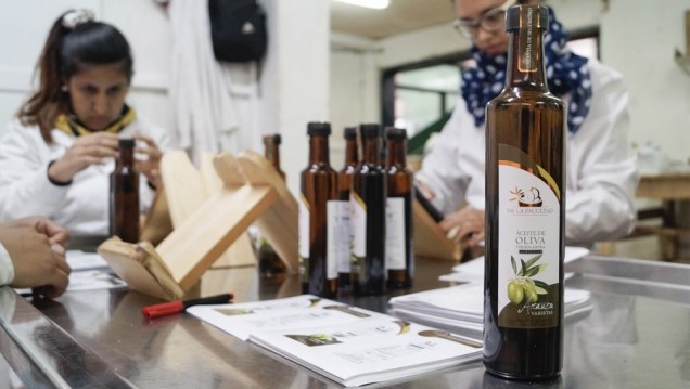 imagen Aceites de oliva de la UNCUYO recibieron nuevos premios