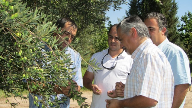 imagen Proyecto de la UNCuyo presente en el Carrusel