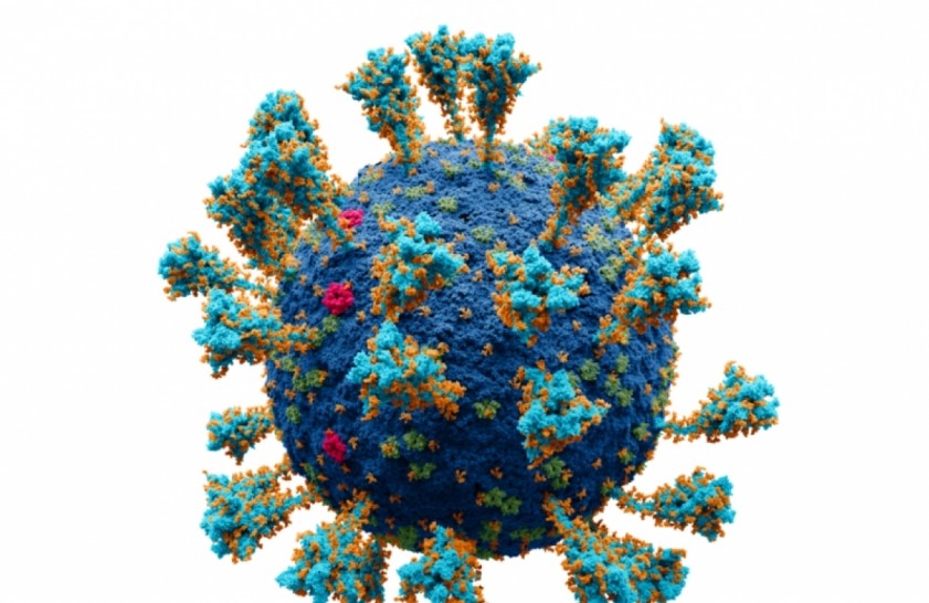 imagen Referente internacional en coronavirus disertará en un coloquio del Balseiro