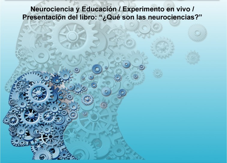 imagen Analizan la Educación desde la Neurociencia en una jornada