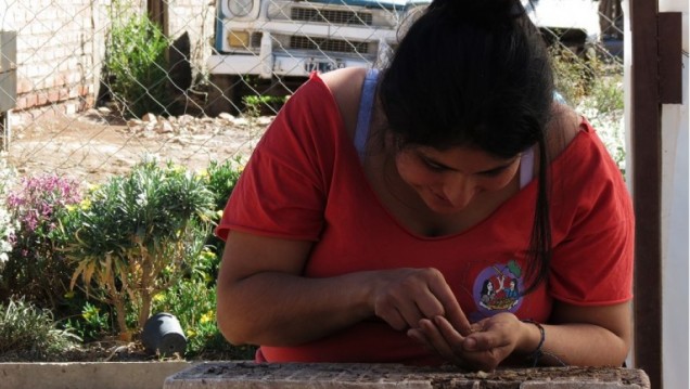 imagen Debatirán sobre acceso al territorio y derecho a la vida campesina