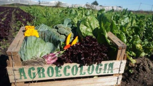 imagen Promueven prácticas agroecológicas en el sur mendocino