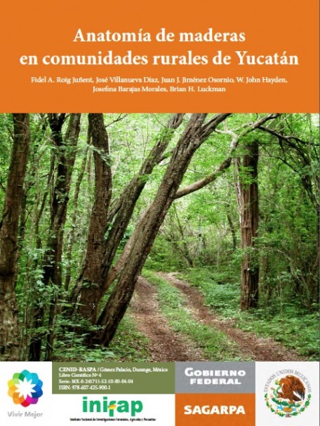 imagen Presentaron libro que analiza el uso de la madera en la cultura maya