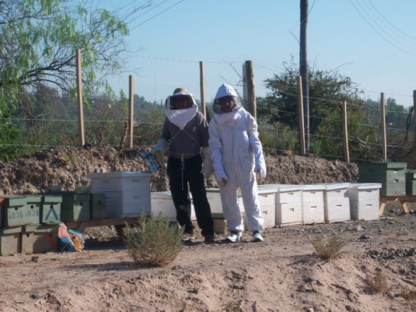 imagen El Liceo Agrícola inaugura innovadores espacios pedagógicos