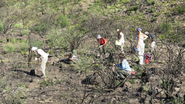 imagen Agrarias colabora en la restauración del Cerro Arco